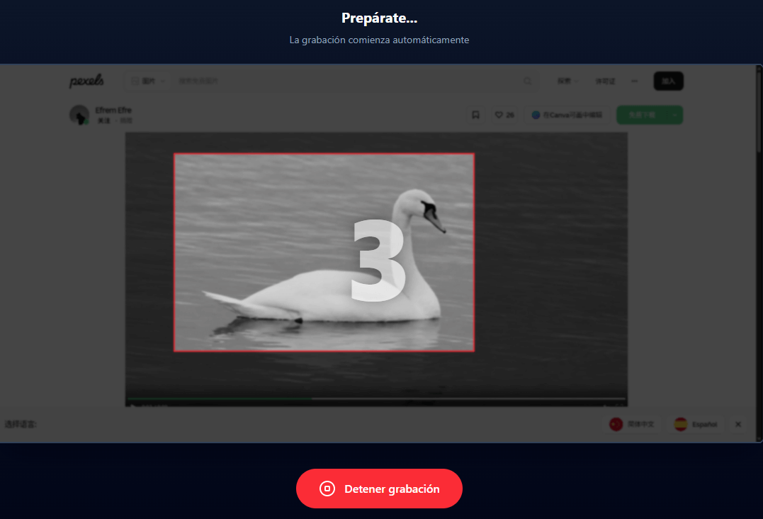 Captura de pantalla: Superposición de cuenta regresiva sobre el área de grabación