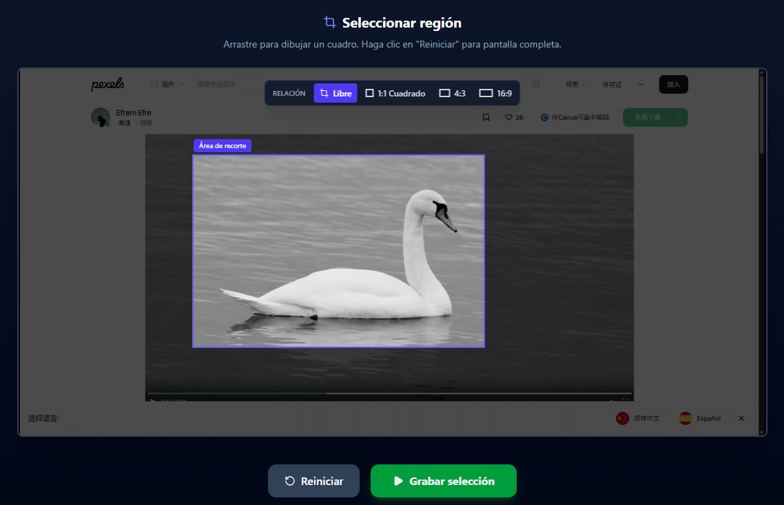 Captura de pantalla: Interfaz del grabador mostrando la vista previa y la superposición de recorte